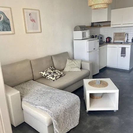 Superbe 4 Personnes - Terrasse- Parking- Piscine Daire